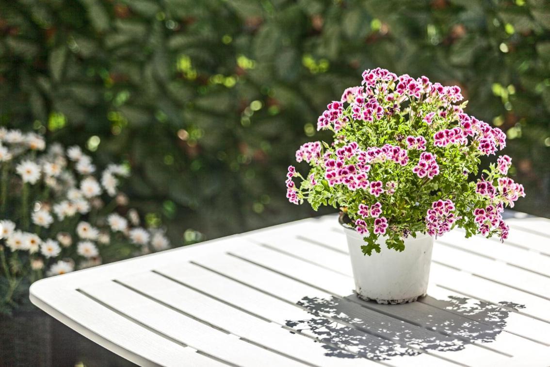 Vila Garden Sant'Avendrace Cagliari Exteriér fotografie